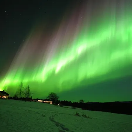 Kaeylaen Helmi Kuusamo