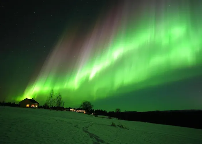 Kaeylaen Helmi Kuusamo